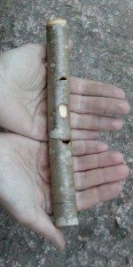 Pajupiipari